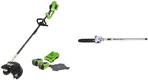 GreenWorks Decespugliatore e Falce 40V, Accessorio Potatore per Tagliabordi, Bobina a Doppio Filo con 2 Batterie 2 Ah e Caricatore