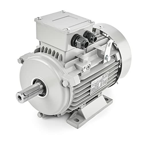 MOLL-MOTOR Motore elettrico 0,55 kW, 1390 rpm, 3 fasi, motore trifase MOLL, motore a risparmio energetico S1 B3, diametro albero 19 mm