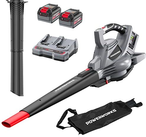 POWERWORKS Aspiratore e Soffiatore a Batteria 2-in-1 2 * 20V Li-Ion Intensità Aria 322 km/h 9.3m³/min Raccoglitore Regolazione Giri Motore Brushless Potente con 2 BAtterie 4Ah e Caricatore