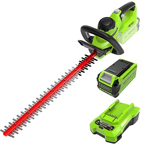 GreenWorks G40HT61K2 Tagliasiepi a Batteria, Lame a Doppia Azione da 61cm, Taglia Rami e Steli Fino a 27mm di Spessore, 3000spm, Batteria 40V 2Ah e Caricabatterie, Garanzia 3 Anni