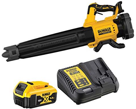 DeWalt Soffiatore assiale XR 18V ​​brushless con 1 batteria Li-Ion 5Ah