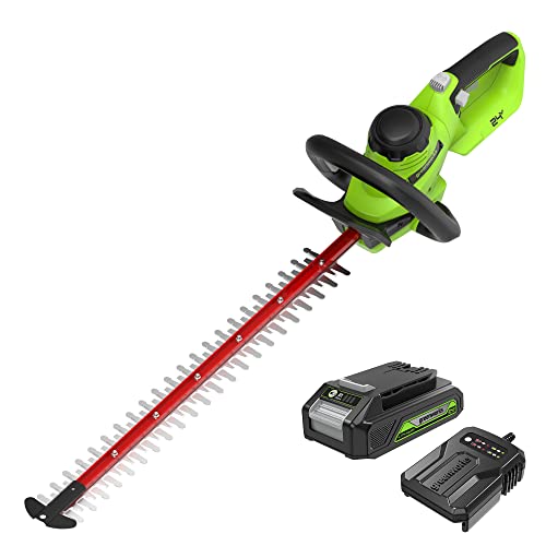 GreenWorks Tagliasiepi a Batteria 24 V G24HT56II, Lama Doppia Azione da 56 cm, Taglia Rami e Steli fino a 25.4 mm di Spessore e 3000 SPM con Batteria 2 Ah & Caricabatterie