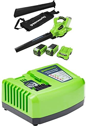 GreenWorks Aspiratore Soffiatore Foglie a Batteria 2 in 1 GD40BVK2X, Li-Ion 40 V Velocità Aria 280 &  Caricabatterie Rapido G40UC4, Li-Ion 40 V 4 A Tempo di Ricarica 30 min con Batteria 2 Ah