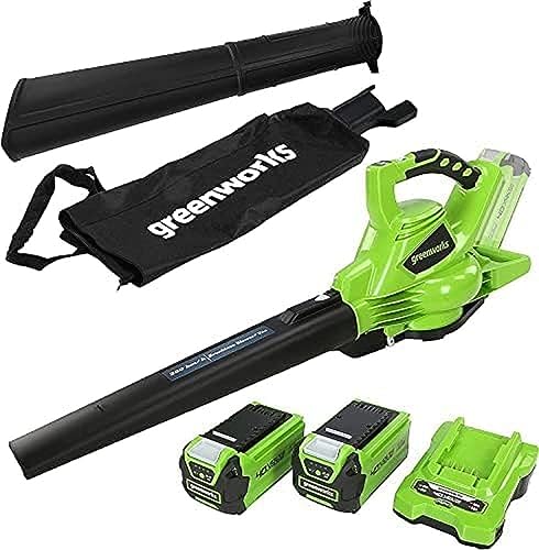 GreenWorks Aspiratore Soffiatore a Batteria per Foglie GD40BV,Tagliabordi a Batteria 40V Taglio 33cm G40LT33 con 2 Batteria 2Ah e Caricatore