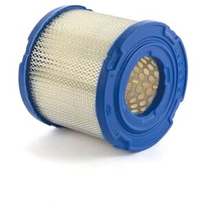 Briggs & Stratton Cartuccia Filtro dell’Aria Originale Briggs And Stratton Briggs & Stratton Cartuccia Filtro dell’Aria Originale Briggs And Stratton