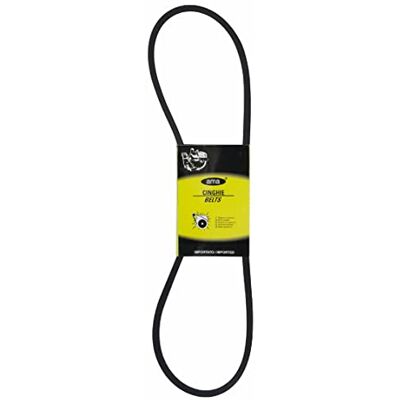 AMA Cinghia Trapezoidale in Gomma Telata SPA1250 – Ricambio per Trattori, Sezione SPA, Sviluppo Primitivo 1250 mm, Peso 360 g, Ideale per Agricoltura e Giardinaggio AMA Cinghia Trapezoidale in Gomma Telata SPA1250 – Ricambio per Trattori, Sezione SPA, Sviluppo Primitivo 1250 mm, Peso 360 g, Ideale per Agricoltura e Giardinaggio