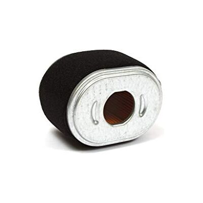 Briggs & Stratton Cartuccia Filtro dell’Aria Originale , Nero Briggs & Stratton Cartuccia Filtro dell’Aria Originale , Nero