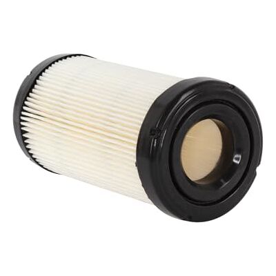 Briggs & Stratton Cartuccia per filtro aria rotonda Briggs & Stratton Cartuccia per filtro aria rotonda