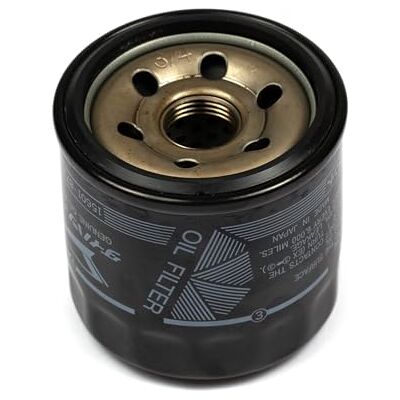 Briggs & Stratton Filtro dell’Olio Originale Briggs & Stratton Filtro dell’Olio Originale