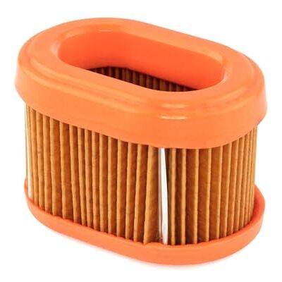 Briggs & Stratton Cartuccia Filtro dell’Aria Originale Briggs & Stratton Cartuccia Filtro dell’Aria Originale
