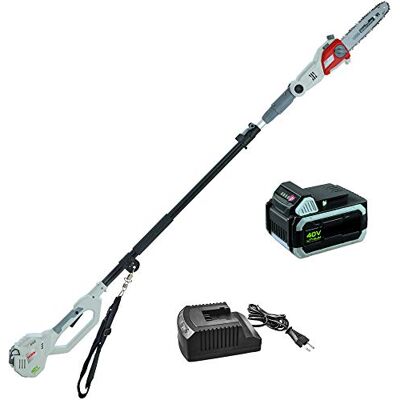 IKRA potatore telescopico IAAS 40-25, incl. Batteria e Caricabatterie, Lunghezza della Lama 25cm, Durata Max. 95 Minuti, 40 V IKRA potatore telescopico IAAS 40-25, incl. Batteria e Caricabatterie, Lunghezza della Lama 25cm, Durata Max. 95 Minuti, 40 V