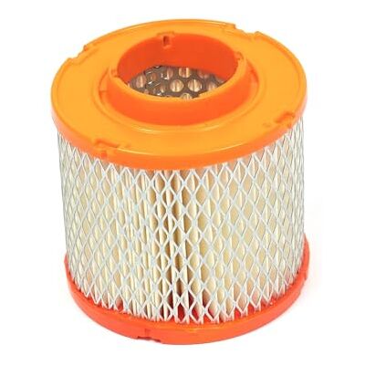 Briggs & Stratton Cartuccia Filtro dell’Aria Originale Briggs And Stratton, Arancia Briggs & Stratton Cartuccia Filtro dell’Aria Originale Briggs And Stratton, Arancia