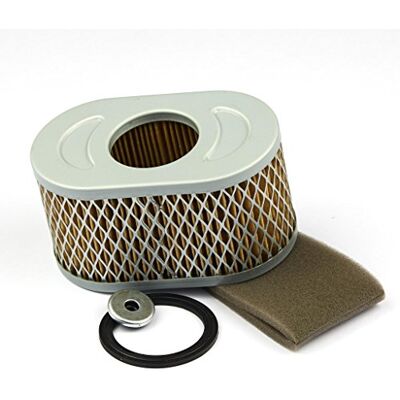 Briggs & Stratton Cartuccia Filtro dell’Aria Originale Briggs & Stratton Cartuccia Filtro dell’Aria Originale
