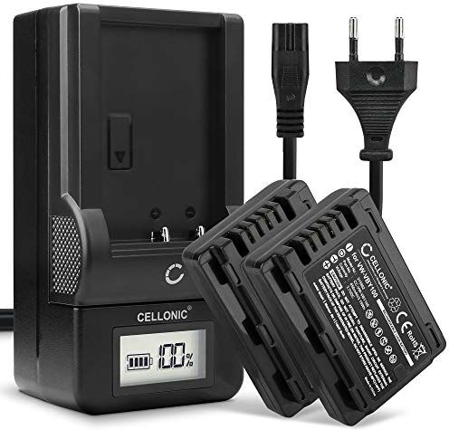 CELLONIC 2X Batteria Compatibile con Panasonic HDC-SD40 -SD60 HDC-TM60 -TM55 HDC-HS60 SDR-S50 -S70 SDR-H85 SDR-T50 -T55 -T70 HC-V110 -V130 -V201, VW-VBY100 VW-VBL090 850mAh + Caricabatteria accu