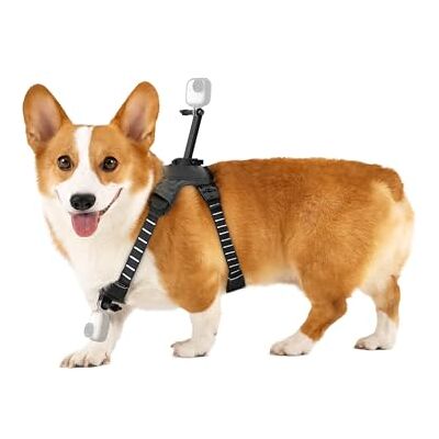 Insta360 GO 3/GO 3S Supporto per imbracatura per animali domestici, taglia M (GO Ultra) Insta360 GO 3/GO 3S Supporto per imbracatura per animali domestici, taglia M (GO Ultra)