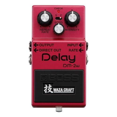 Boss Delay Guitar Pedal