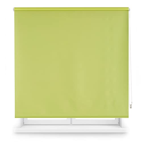 Blindecor Tenda a rullo oscurante Verde pistacchio, 140 x 175 cm (Larghezza x Altezza)   Dimensioni del tessuto 137 x 170 cm. Tende termiche oscuranti