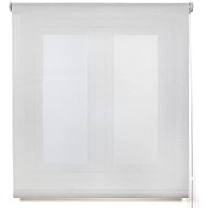 Tenda a Rullo 100x270 Grigio Argento Traslucido - Copertura Finestra Tenda a Rullo 100x270 Grigio Argento Traslucido - Copertura Finestra