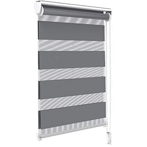 VOUNOT ® Tenda a Rullo Doppia Strato Oscurante Giorno e Notte, Catenella Laterale, Bande Trasparenti e Opache, Tenda Interno Zebra Blinds Grigio, 50 x 150 cm VOUNOT ® Tenda a Rullo Doppia Strato Oscurante Giorno e Notte, Catenella Laterale, Bande Trasparenti e Opache, Tenda Interno Zebra Blinds Grigio, 50 x 150 cm