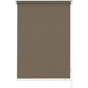 Gardinia Tenda Oscurante a Rullo con Catenella Laterale, Installazione a Parete, soffitto o nicchia, Opaca, Kit di Montaggio Incluso, Mocca, 102 x 180 cm (LxA) Gardinia Tenda Oscurante a Rullo con Catenella Laterale, Installazione a Parete, soffitto o nicchia, Opaca, Kit di Montaggio Incluso, Mocca, 102 x 180 cm (LxA)