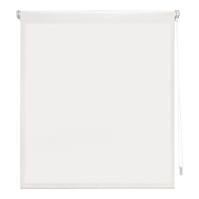 Tenda Rollabile Traslucida DECORBLIND - Finestra Tenda Rollabile Traslucida DECORBLIND - Finestra