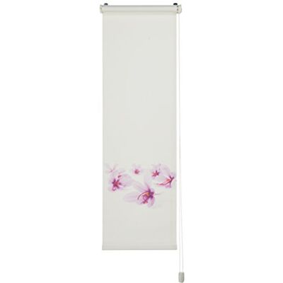 Startex DS 5005 Digital – Tenda a Rullo con Catenella in sbieco con Parete e soffitto motage, 140 x 45 cm Startex DS 5005 Digital – Tenda a Rullo con Catenella in sbieco con Parete e soffitto motage, 140 x 45 cm