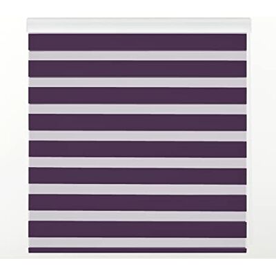 Zebra Textil Estoralis Sansa Tenda a Rullo Notte e Giorno con Cassetta Decorativa, 125 x 250 cm, Viola Zebra Textil Estoralis Sansa Tenda a Rullo Notte e Giorno con Cassetta Decorativa, 125 x 250 cm, Viola