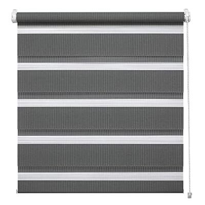 Gardinia Deco Company, Tenda a Rullo Doppia a Incastro, con Catenella Laterale e Installabile Senza Forare, Bande Trasparenti e Opache, Materiale di Montaggio Incluso, Poliestere, Antracite, 60 x 150 cm Gardinia Deco Company, Tenda a Rullo Doppia a Incastro, con Catenella Laterale e Installabile Senza Forare, Bande Trasparenti e Opache, Materiale di Montaggio Incluso, Poliestere, Antracite, 60 x 150 cm