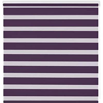 Zebra Textil Shae - Viola - 145 x 180 Avvolgibile a rullo Zebra Textil Shae - Viola - 145 x 180 Avvolgibile a rullo