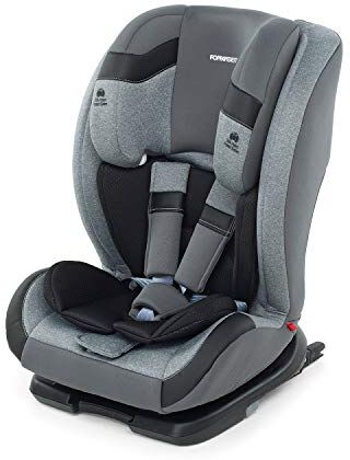 Foppapedretti Re-Klino Fix Seggiolino Auto IsoFix, Gruppo 1/2/3 (9-36 kg), per Bambini da 9 Mesi a 12 Anni circa, Silver