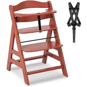 hauck Seggiolone Pappa in Legno Alpha+ Seggiolone Evolutivo da 6 mesi fino a 90 kg Sedia Evolutiva con Barra Frontale, Cintura Inguinale e a 5 Punti Legno Certificato FSC® Cork hauck Seggiolone Pappa in Legno Alpha+ Seggiolone Evolutivo da 6 mesi fino a 90 kg Sedia Evolutiva con Barra Frontale, Cintura Inguinale e a 5 Punti Legno Certificato FSC® Cork