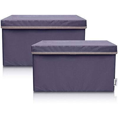 Lifeney Set di 2 contenitori con coperchio - Antracite - 37x25x21cm Lifeney Set di 2 contenitori con coperchio - Antracite - 37x25x21cm