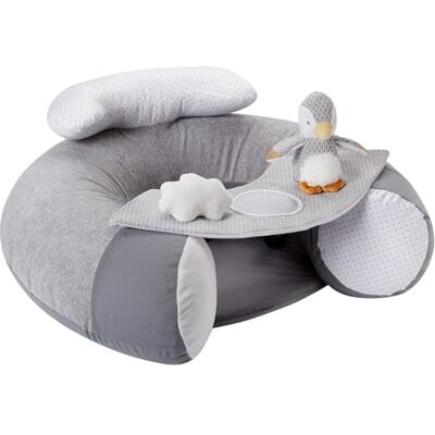 Nuby Penguin Seggiolino per Bambini - Seggiolino gonfiabile per sedersi e giocare con vassoio staccabile Nuby Penguin Seggiolino per Bambini - Seggiolino gonfiabile per sedersi e giocare con vassoio staccabile