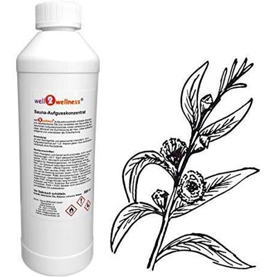 well2wellness ® Concentrato di Infusione per Sauna Eucalipto 500 ML well2wellness ® Concentrato di Infusione per Sauna Eucalipto 500 ML