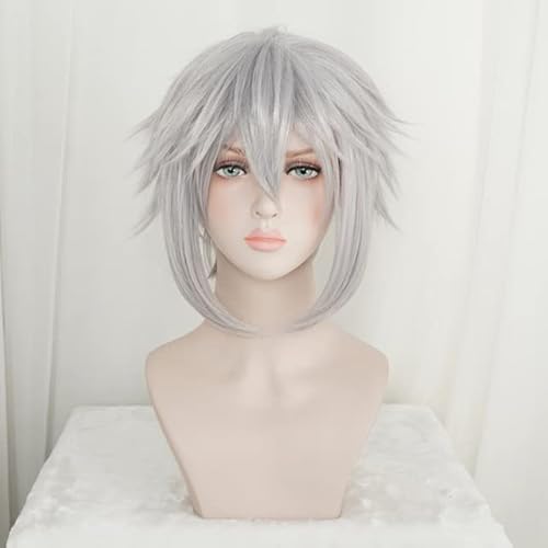 GJBXP Kingdom Hearts III Riku Iron- Grey Parrucca corta Costume Cosplay Uomo Donna Parrucche sintetiche termoresistenti + Cappellino per parrucca Taglia unica come da foto