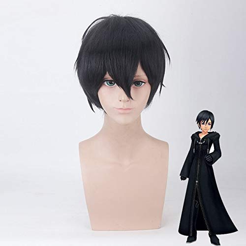 GJBXP Parrucca cosplay di Kingdom Hearts Xion 30 cm corta dritto resistente al calore sintetico gioco in costume parrucca festa parrucca di Halloween cos nero   Xion