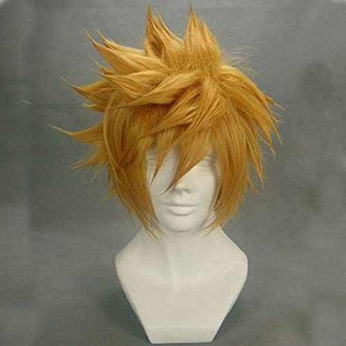 EQWR Parrucca Kingdom Hearts Roxas Parrucca Ventus Parrucca Cosplay 30 cm Corto Capelli sintetici Uomo Gioco Anime Costume Parrucca da festa Regalo Ventus dorato