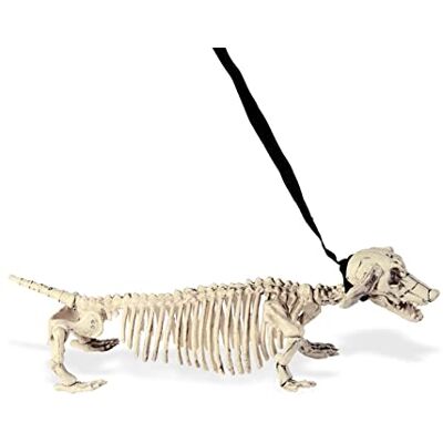 W WIDMANN MILANO Party Fashion Widmann- Animali Decorazioni Ragazzo, Multicolore, 0 W WIDMANN MILANO Party Fashion Widmann- Animali Decorazioni Ragazzo, Multicolore, 0