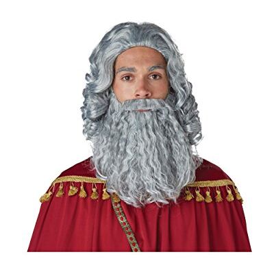California Costumes Mens Wise Man grigio parrucca e barba, Grigio, taglia unica California Costumes Mens Wise Man grigio parrucca e barba, Grigio, taglia unica