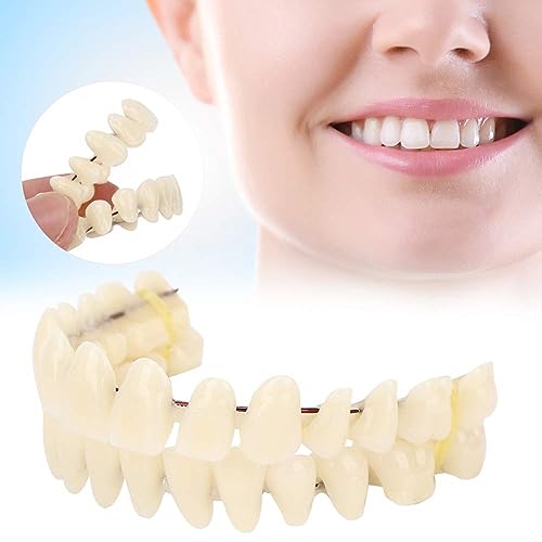 ZJchao 280 pz/10 set dentiera in resina denti finti, modello di insegnamento dei denti dentali, protesi in resina per pazienti con perdita della cavità orale, accessorio di fornitura dentale