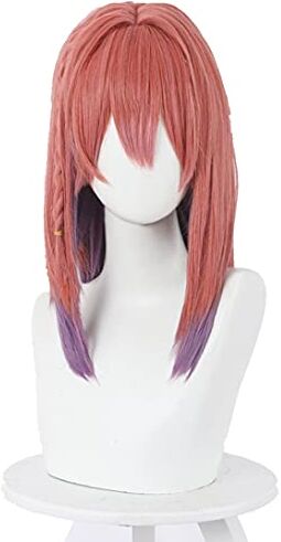 RONGYEDE Noleggia una ragazza Sakurasawa Sumi Rosa Viola Misto Cosplay Anime Parrucca Resistente al Calore Capelli Sintetici Halloween Festa Carnevale