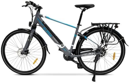 Argento E-Bike Alpha, Motore 250W, Freni a Disco, Batteria 374Wh, Fino a 70km, Schermo LCD, Cambio Shimano 7 Rapporti