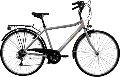 Denver Discovery Bicicletta Uomo, Bici Trekking Manhattan 28'' Cambio Shimano 6 velocità, Colore Metal, Silver Metallizzato, 28