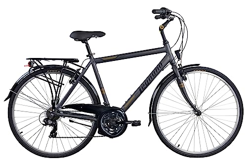 Legnano Forte dei Marmi, City Bike Uomo, Grigio Scuro Matt e Bronzo, 54