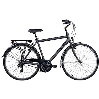 Legnano Forte dei Marmi L430, City Bike Uomo 28 pollici, Colore Grigio Scuro Matt e Bronzo, Taglia 54 Legnano Forte dei Marmi L430, City Bike Uomo 28 pollici, Colore Grigio Scuro Matt e Bronzo, Taglia 54