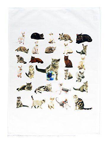 Half a Donkey The Cat Collection Large Cotton Canovaccio by