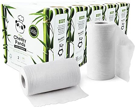 Panda – Rotoli da Cucina in Bambù   Formato Famiglia da 10 Rotoli (5 Confezioni da 2 Rotoli, 2 Veli)   Biodegradabile, Multiuso, Senza Plastica, Super Assorbente, Resistente e Sostenibile