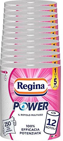 Regina Power Carta Multiuso   12 rotoli   250 fogli a 2 veli   Ideale per la pulizia di ogni superficie   Confezione riciclabile   Carta 100% certificata FSC