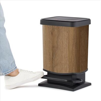 Rotho Paso Cestino 20l con coperchio, Plastica (PP) senza BPA, Legno, 20l (29.3 x 26.6 x 45.7 cm) Rotho Paso Cestino 20l con coperchio, Plastica (PP) senza BPA, Legno, 20l (29.3 x 26.6 x 45.7 cm)