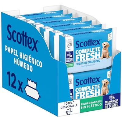 Scottex Fresh, carta igienica umido – 12 confezioni da 38 (Totale 456 pezzi) Scottex Fresh, carta igienica umido – 12 confezioni da 38 (Totale 456 pezzi)